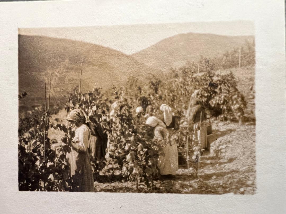 1924 1.jpg