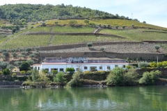 Real Companhia Velha's, Quinta das Carvalhas. A view from the Rio Douro.