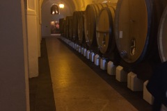 Cartuxa cellars