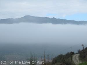 A layer of cloud around 250-300 metres of altitude