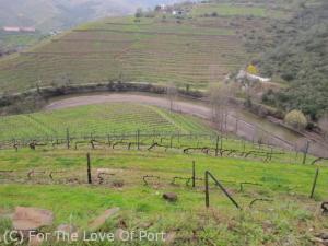 Niepoort Beach - silt washed down the Tedo River at the foot of the vineyards