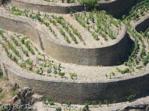 The repaired vineyard wall at Quinta da Boavista