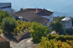 Have you tried the Ports and Douro wines of Quinta da Devesa?A gorgeous property a stone's throw from Vallado, so many fine treasures to explore while visiting!