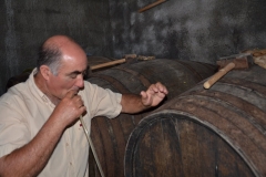 On the island of Porto Santo, (part of Madeira's archipelago) this mostly wind-blown barren land has some interesting areas with vines that produce some unique grape varieties with different character than anything else I've experienced. Some possess similar qualities to Madeira, but also contrasting distinctions too. Here we were tasting directly from some older casks that remain part of a family's treasure.