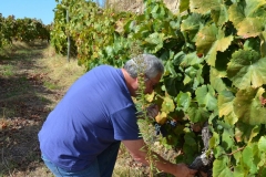 REVERENCE in the Douro.