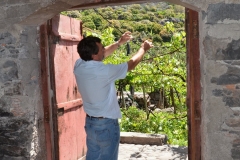 Mario Fernandes, co-owner and winemaker @ Fajã dos Padres, on the south coast of the island of Madeira.