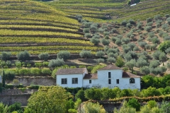 The incredible natural beauty of the Douro!