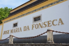 What is the BEST Moscatel you have ever had from this fine producer in Setubal?