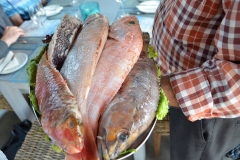 The proud owner of PE na Agua restaurant, on the island of Porto  Santo, (one of the Madeira islands) shows us our fresh lunch options. The seafood was fabulous and the service was outstanding too.