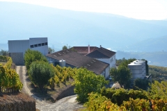 A view of Quinta da Devesa, a Douro property with 34 hectares of vineyards, producing a wide range of fine Tawny and Colheita Ports.