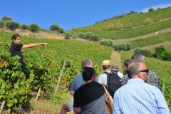 While visiting Wine & Soul during the harvest, SANDRA TAVARES (in blue on the left side of photo) took time out to provide great details about the terroir and old-vine field blends in their vineyards. What a great afternoon into evening. Charming, brilliant and talented. Quite the combination!