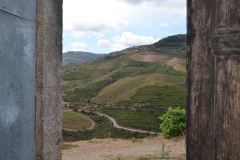 From the cellar @ BULAS ... Douro beauty.