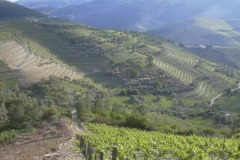 The Douro in Spring