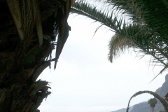 The serenity of the South coast of Madeira