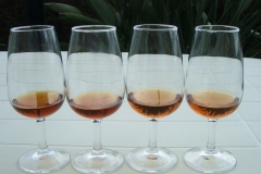 Malvasia barrel samples al fresco