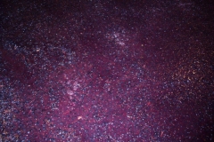 Grapes post treading in the lagar