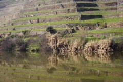 Terraced terrain