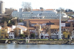 View of Gaia during lunch