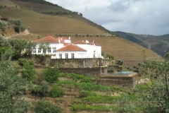 Quinta da Romaneira