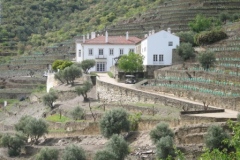 Quinta da Romaneira