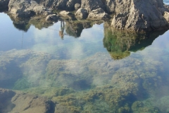 Fishing the North Side of Madeira