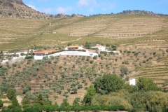 Quinta dos Canais from the Douro