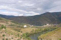 The Tedo River as seen from Niepoort's Quinta de Napoles
