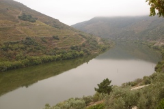 Looking west on the Douro from Quinta dos Malvedos