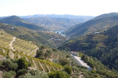A view from Quinta do Noval