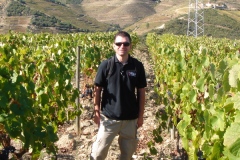 In the Vineyards at Quinta do Tedo