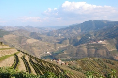 The view from the very top of Vista Alegre #2