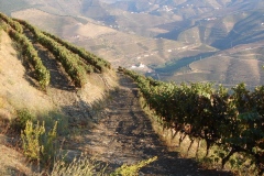 The view from the very top of Vista Alegre