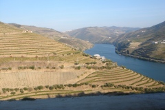 A great view of the Douro