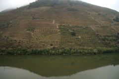 Rollin' on the River - The North bank of Quinta do Crasto