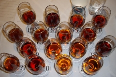 Our lineup of Madeira
