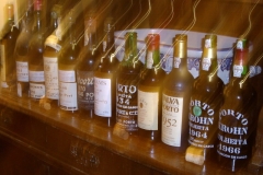 The Port Lineup