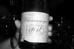 1875 Cucamonga Port
