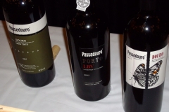 Lineup of Passadouro