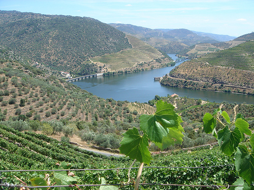 Quinta Vale D'Agodinho, Quinta do Cachao and at the end Quinta de Vargellas
