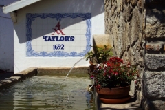 The Taylor's Port Lodge Fountain