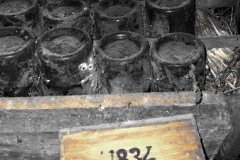 A case of 1834 Krohn Colheita