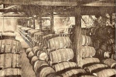 Vinhos Constantino cellar