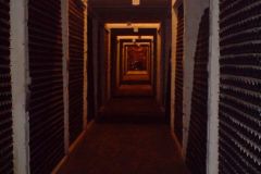 Taylor's Port Cellars