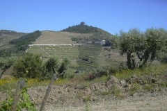 Noval