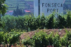 Fonseca's Quinta do Panascal
