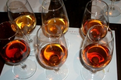 Tasting at H.M. Borges