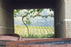 Croft's Quinta da Roêda