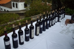 Tasting @ Quinta do Crasto - 2009 Harvest Tour