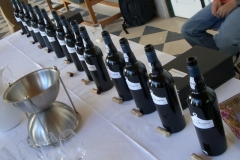 Quinta do Vesuvio, complete vertical of Vesuvio