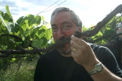 Faja dos Padres